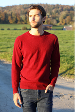 Load image into Gallery viewer, Solid Crew Neck Cashmere Sweater
