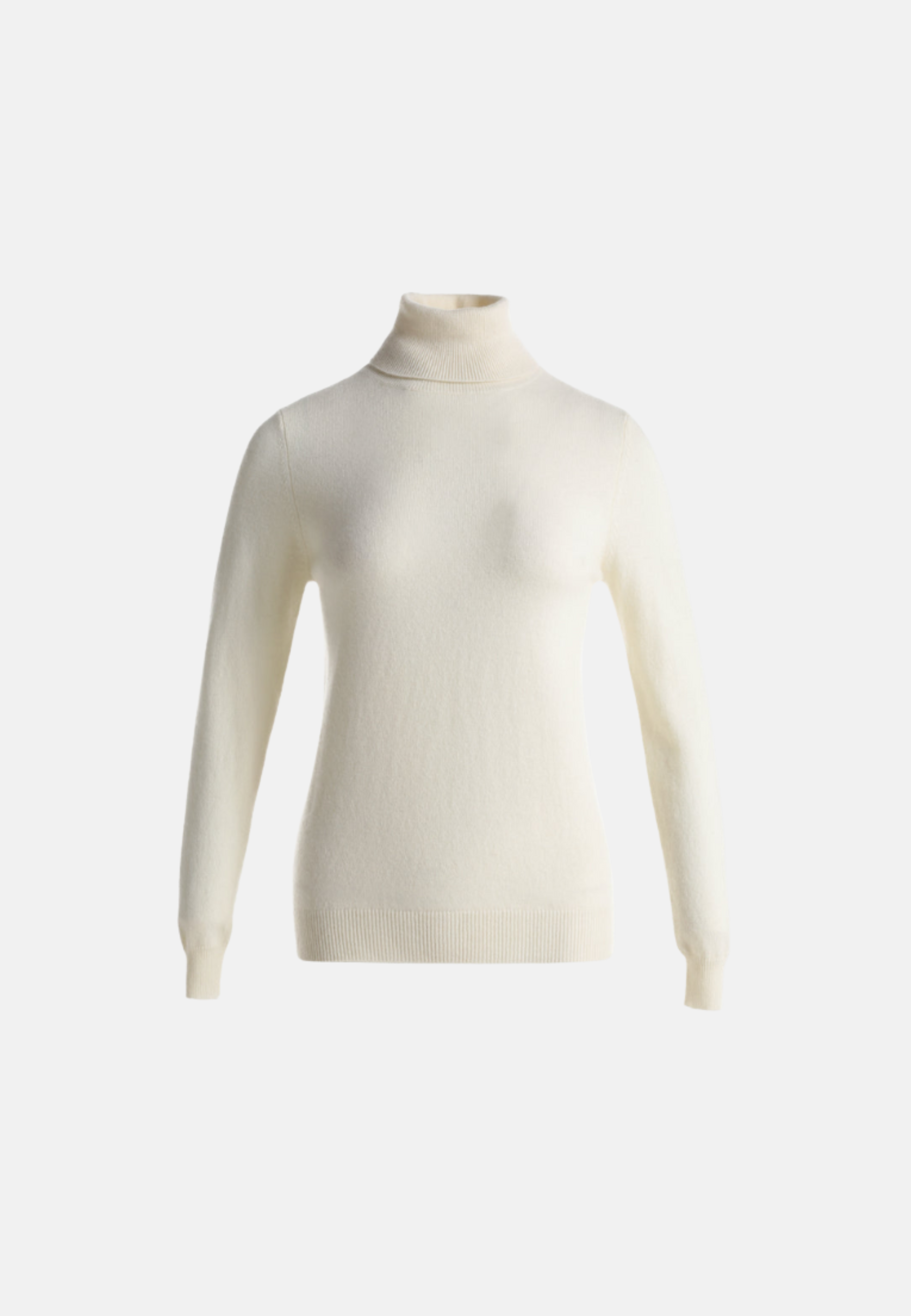 Fitted Turtleneck Sweater (Cashmere & Merino Wool)