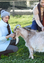Load image into Gallery viewer, Cashmere Turtleneck Mini-Sweater
