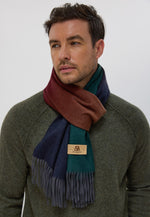 将图片加载到图库查看器，Premium Gradient Cashmere Scarf
