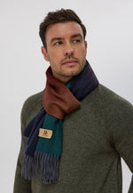 将图片加载到图库查看器，Premium Gradient Cashmere Scarf
