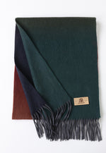 将图片加载到图库查看器，Premium Gradient Cashmere Scarf
