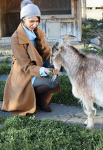 Load image into Gallery viewer, Cashmere Turtleneck Mini-Sweater
