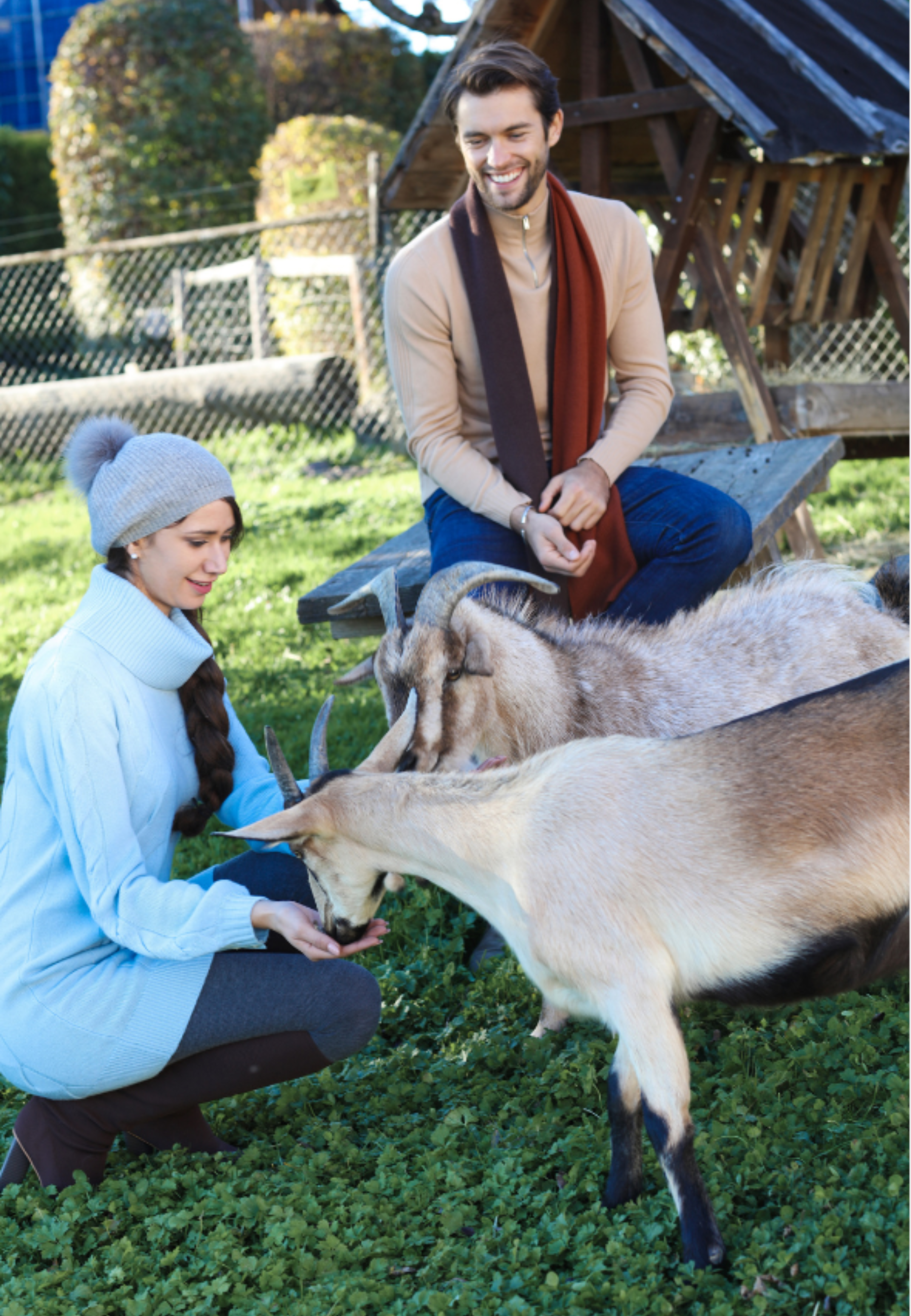 Cashmere Turtleneck Mini-Sweater