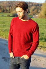 Load image into Gallery viewer, Solid Crew Neck Cashmere Sweater
