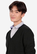Charger l'image dans la galerie, Solid V-Neck Merino Sweater
