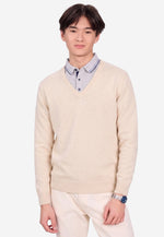 Charger l'image dans la galerie, Solid V-Neck Merino Sweater
