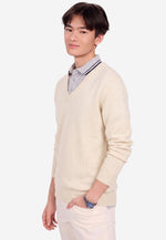 Charger l'image dans la galerie, Solid V-Neck Merino Sweater
