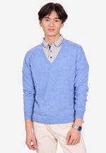 Load image into Gallery viewer, Solid V-Neck Merino Sweater
