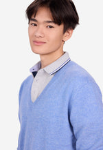 Load image into Gallery viewer, Solid V-Neck Merino Sweater
