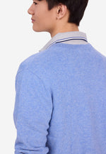 Load image into Gallery viewer, Solid V-Neck Merino Sweater
