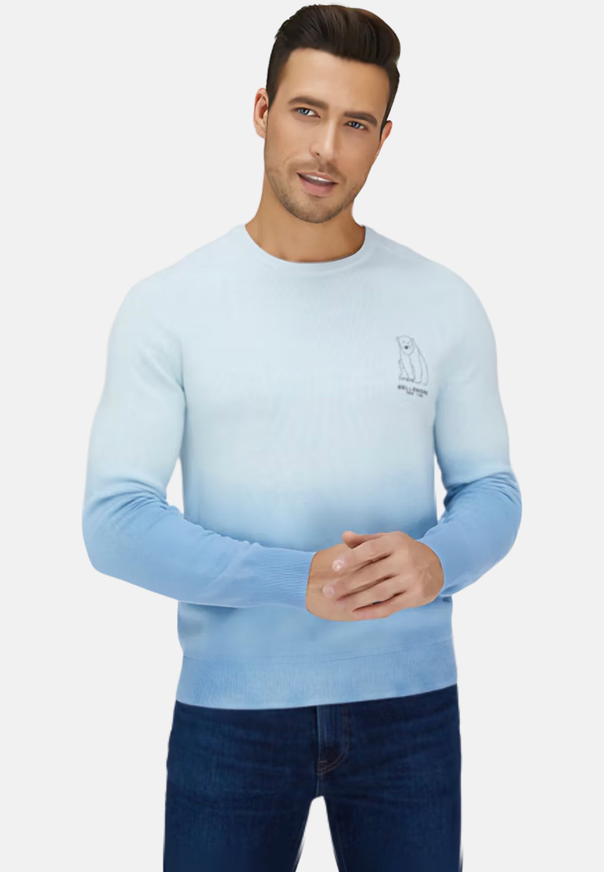 Pull en laine mérinos à dégradé polaire pour homme
