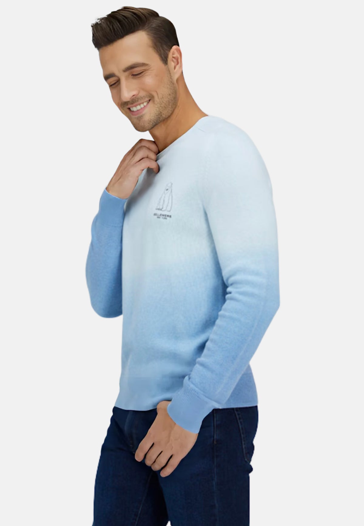 Pull en laine mérinos à dégradé polaire pour homme