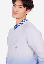 Carica l'immagine nel visualizzatore di Gallery, Men's Polar Gradient Merino Wool Sweater
