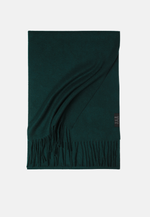 Load image into Gallery viewer, Silky Cashmere Scarves
