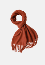 Load image into Gallery viewer, Silky Cashmere Scarves
