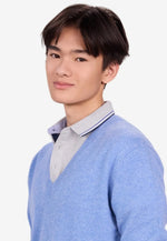 Load image into Gallery viewer, Solid V-Neck Merino-Cashmere Sweater
